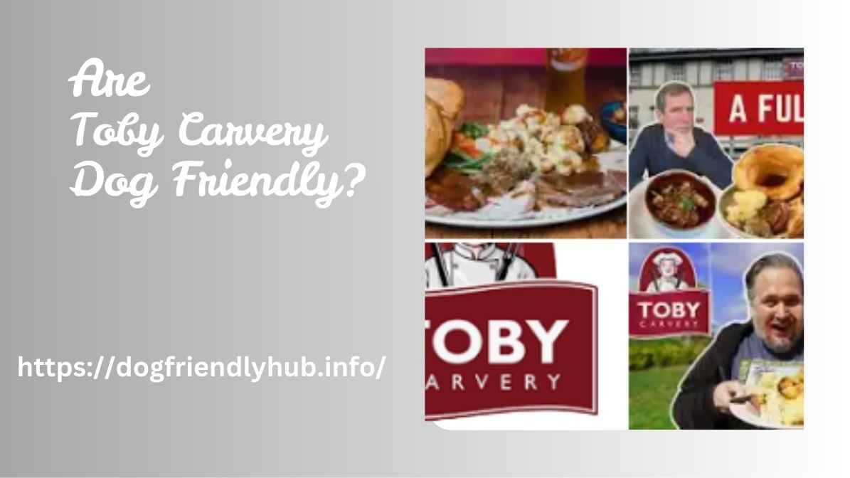 Are Toby Carvery Dog-Friendly