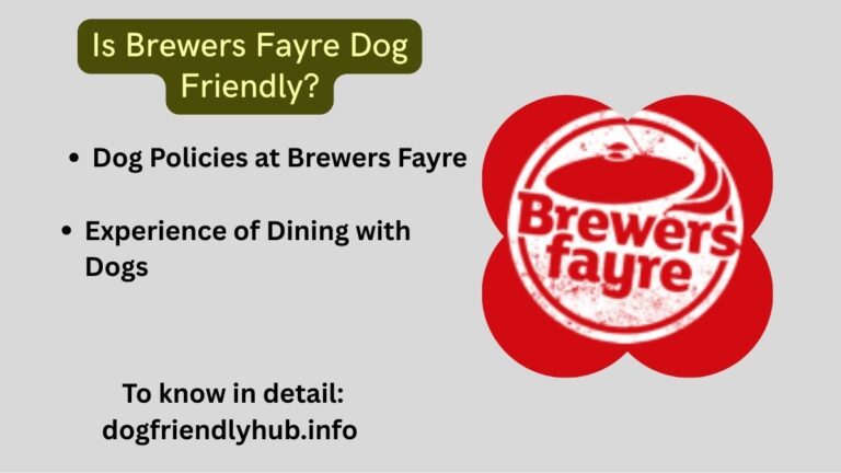 Is Brewers Fayre Dog Friendly​