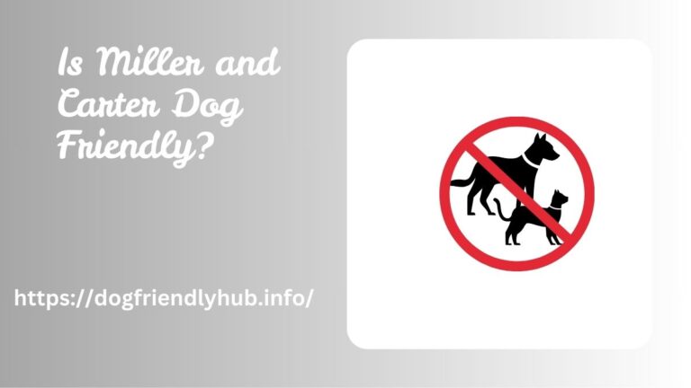 Is Miller and Carter Dog Friendly