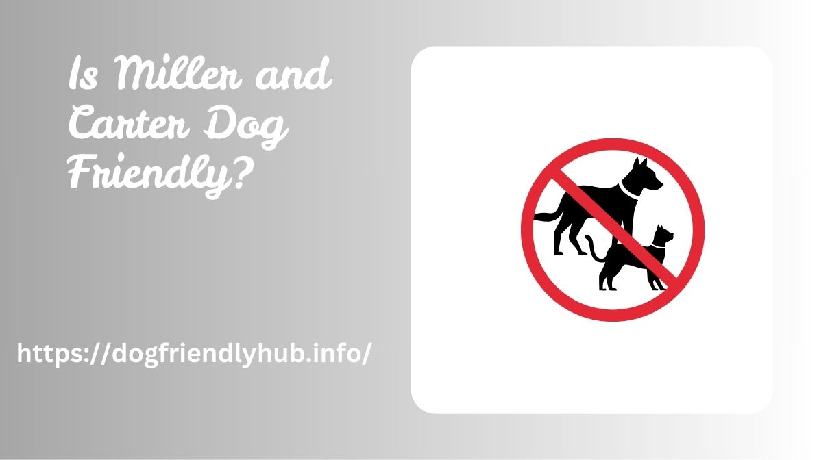 Is Miller and Carter Dog Friendly