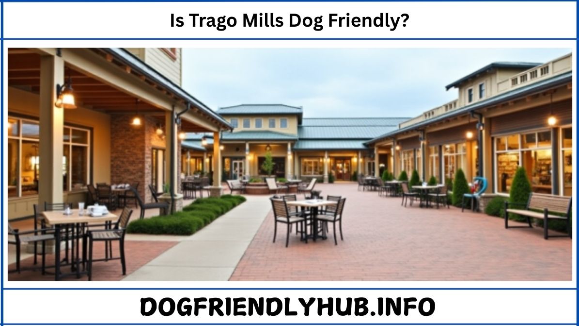 Is Trago Mills Dog Friendly