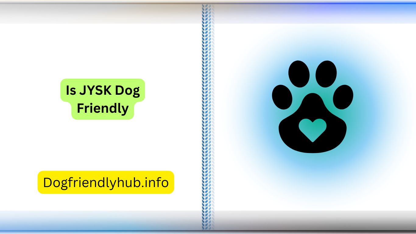 Is JYSK Dog Friendly